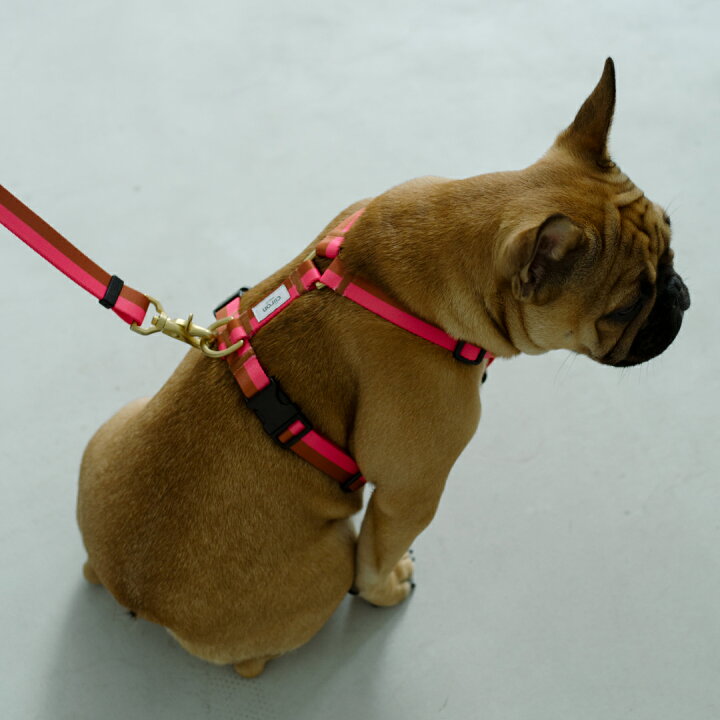 かっこいい 犬用 ドッグ ハーネス リード 小型犬 中型犬 大型犬 胴輪 ベスト 通気性 C Camouflage 季節のおすすめ商品