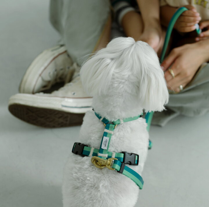 楽天市場 犬 ハーネス オシャレ 首輪 超小型犬 小型犬 大型犬 日本製 全国 送料無料 洗える Ciiron Tokyo ハーネスsサイズ 幅15mm 犬 日本製オシャレ 首輪 カラー 超小型犬 シンプル かわいい おしゃれ かっこいい軽い 洗える リード ブランド