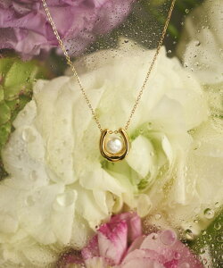 AM[Ή p[z[XlbNX T[WJXeX fB[X ANZT[  p[eB[ a v[g Vo[ S[h sNS[h Vv