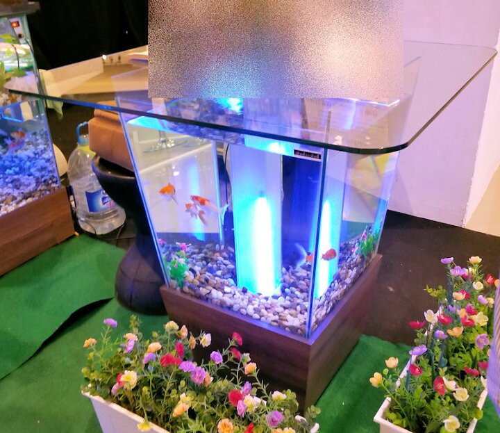 楽天市場】水槽型 アクアリウムガラステーブル(FT-18) テーブル 