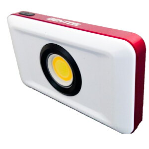 ジェントス LED ワークライト 1100lm 充電式 完全防水 GENTOS GZ-306