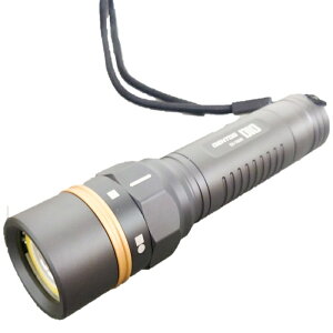 WFgX LEDtbVCg fBI 500lm [d IP68h GENTOS DI-186R