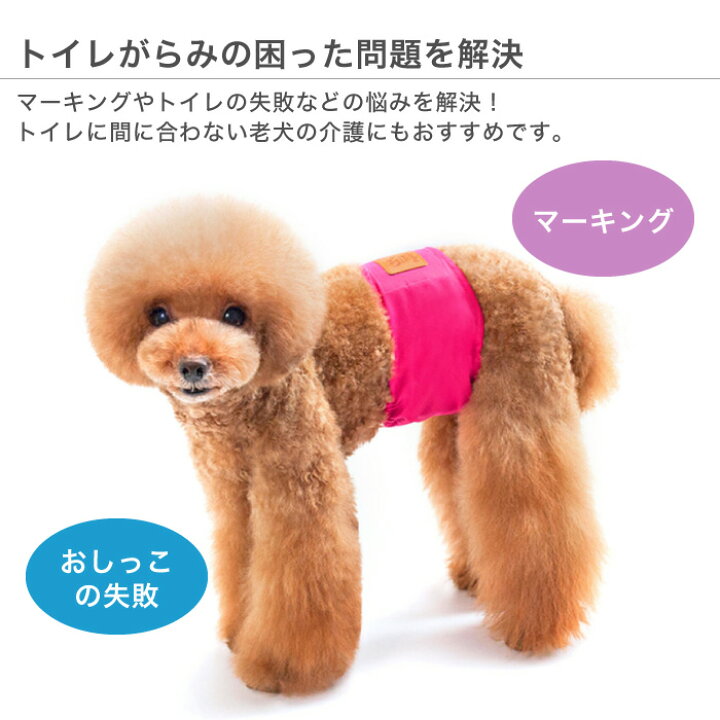 楽天市場 犬用マナーベルト 犬用 マナーバンド おむつカバー ドッグウェア ドッグウエア トイレ おしっこ失敗 オシッコ失敗 シンプル しつけ マーキング防止 粗相 介護用品 介護グッズ お出かけ 超小型犬 小型犬 中型犬 オス 男の子 おす スマホケースのcinc Shop 楽天市場 犬用マナーベルト 犬用 マナーバンド おむつカバー ドッグウェア ドッグウエア トイレ おしっこ失敗 オシッコ失敗 シンプル しつけ マーキング防止 粗相 介護用品 介護グッズ お出かけ 超小型犬 小型犬 中型犬 オス 男の子 おす スマホケースのcinc Shop