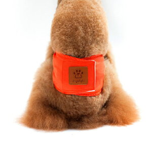 p}i[xg p }i[oh ނJo[ hbOEFA hbOEGA gC s IVbRs Vv  }[LOh~ e pi ObY o 