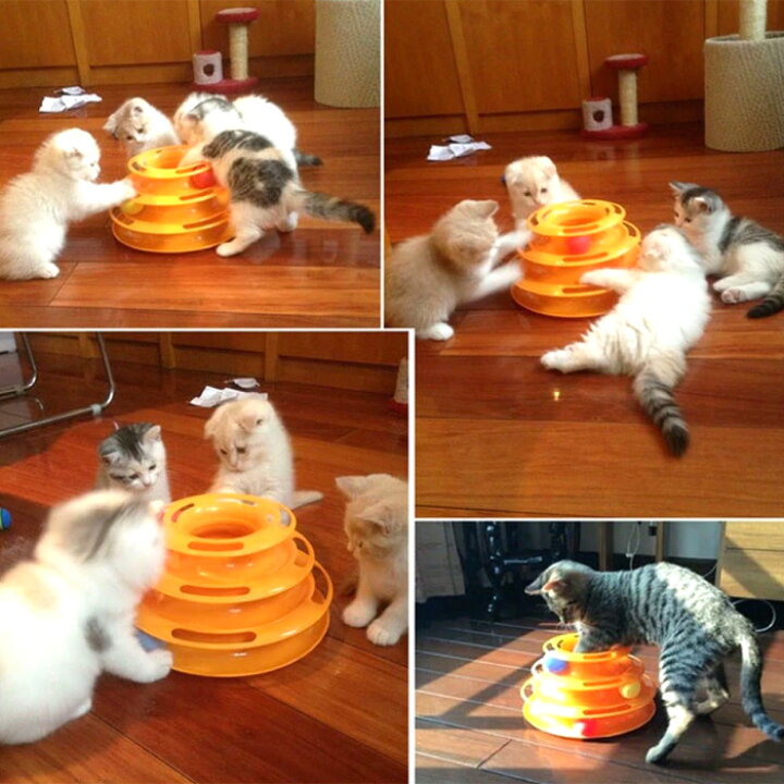 楽天市場 猫 おもちゃ 猫オモチャ ねこ ネコ 回る ボール 猫おもちゃ 猫用 ひとり 遊べる 遊ぶ 運動不足 ストレス解消 電池不要 かわいい 猫用 玩具 回転 オモチャ 玩具 運動 ペット用品 ダイエット 子猫 成猫 ひとり遊び 可愛い スマホケースのcinc Shop