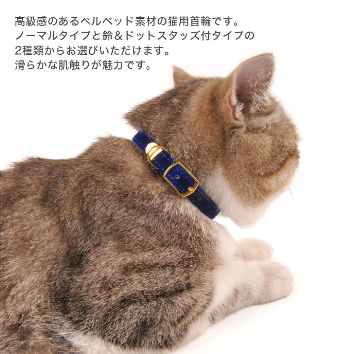 楽天市場】猫 首輪 おしゃれ 鈴 ネコ ねこ 超小型犬 可愛い かわいい  