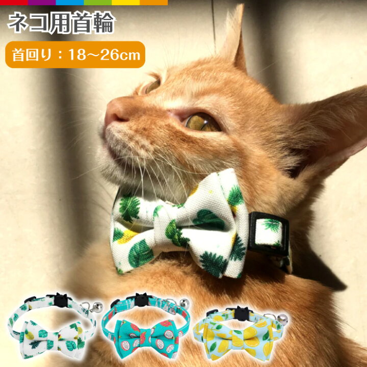 楽天市場 猫 首輪 おしゃれ リボン 鈴 セーフティバックル ネコ ねこ 超小型犬 安全 可愛い かわいい 猫用首輪 リボン ストレス フリー 安全バックル リード穴付き キャット ネコグッズ 猫グッズ ペット用品 蝶ネクタイ フルーツ柄 ポップ 夏 リゾート 海 旅行