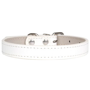    ^ ^ ^ L q ps[ p  Vv v 킢 U[ tFCNU[ ybg pi т ` gCv[h Č