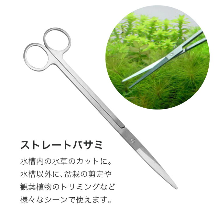 楽天市場】水草 ピンセット 水草ハサミ 水槽 メンテナンス 5点セット トリミング用ハサミ ステンレスハサミ トリミング用キット サンドフラッター アクアリウム 専用バッグ付 : スマホケースのCINC SHOP 楽天市場】水草 ピンセット 水草ハサミ 水槽 メンテナンス 5点セット トリミング用ハサミ ステンレスハサミ トリミング用キット サンドフラッター アクアリウム 専用バッグ付 : スマホケースのCINC SHOP
