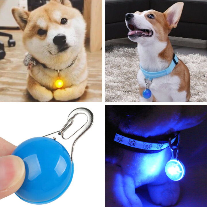 楽天市場 Ledライト ペット 犬 お散歩ライト カラー 夜間 Led ライト 猫 夜 散歩 安全 補助 グッズ ペット用品 タグ ペンダント 首輪 チャーム スマホケースのcinc Shop