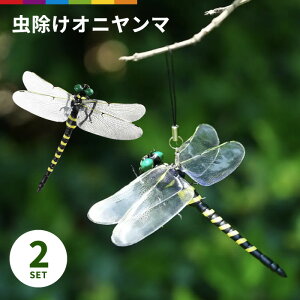  Ij} 2Zbg 悯 ɂ AEghA St g{ Ƃ Lv BBQ Xgbv