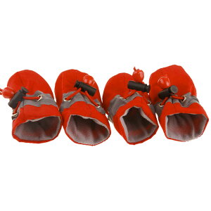  C V[Y u[c p ybgp C C hbOu[c hbOV[Y ی N h[R[g ^ ^ ΍ h΍   U o| h~ PKh~