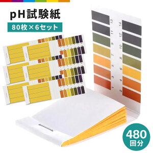 pH 80 6Zbg 480 e g}X g}X eXgy[p[ y[n[ nt ڈ\ ȈՑ   Mы  ANAE  A ڈ v[