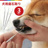 犬 スケーラー 歯石取り ペンチ 器具 ペット用 デンタルケア 口臭予防 歯周病 歯石除去 3本セット ステン…
