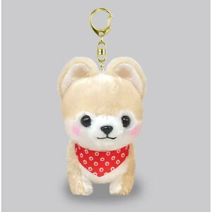 A~[Y AMUSE@703063 ΎOZ L[z_[ 