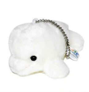 L[g̔ x[K {[`F[ 10cm