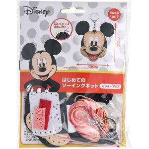 fBYj[ ͂߂Ẵ\[COLbg ~bL[}EX