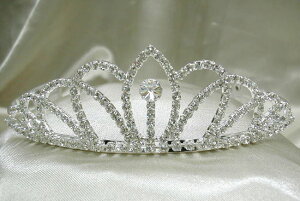 ɗǂIȂłeBA `TChR[^Cv`