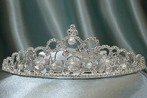 Ch̗lȃp[t[eBA `݌^`