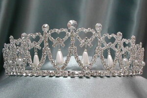 vZX_CAi̗h߂p[eBA `TChR[^Cv`