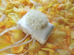 ԉł̃p[u[P􃊃Os[{bNX