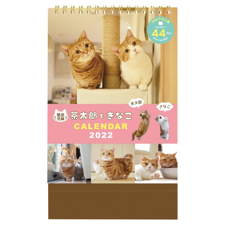楽天市場】茶太郎ときなこカレンダー 卓上 2022年 カレンダー ねこ 学研ステイフル 書き込み アニマル インテリア 令和4年 暦 メール便可 シネマコレクション : キャラクターのシネマコレクション 楽天市場】茶太郎ときなこカレンダー 卓上 2022年 カレンダー ねこ 学研ステイフル 書き込み アニマル インテリア 令和4年 暦 メール便可 シネマコレクション : キャラクターのシネマコレクション