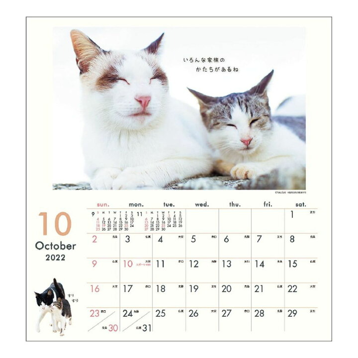 定価 Cats Collection 山下寅彦 壁掛け カレンダー 22 スケジュール ねこ キャット 辰巳出版 Edilcoscale It