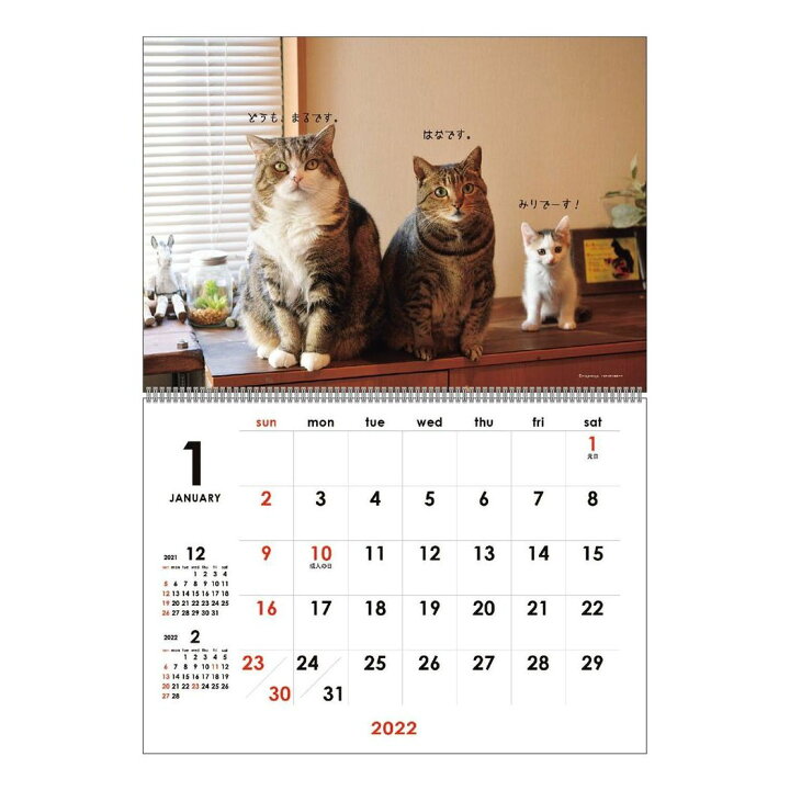 楽天市場】猫 まるちゃん カレンダー 2022年 壁掛け スケジュール ねこ キャット APJ かわいい 動物 写真 書き込み 令和4年 暦  シネマコレクション : キャラクターのシネマコレクション