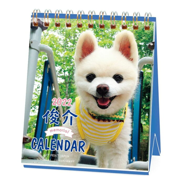 楽天市場 犬 俊介 ポメラニアン 週めくりミニ 22 カレンダー 卓上 スケジュール いぬ ドッグ Apj かわいい 動物 写真 書き込み 令和4年 暦 メール便可 シネマコレクション キャラクターのシネマコレクション