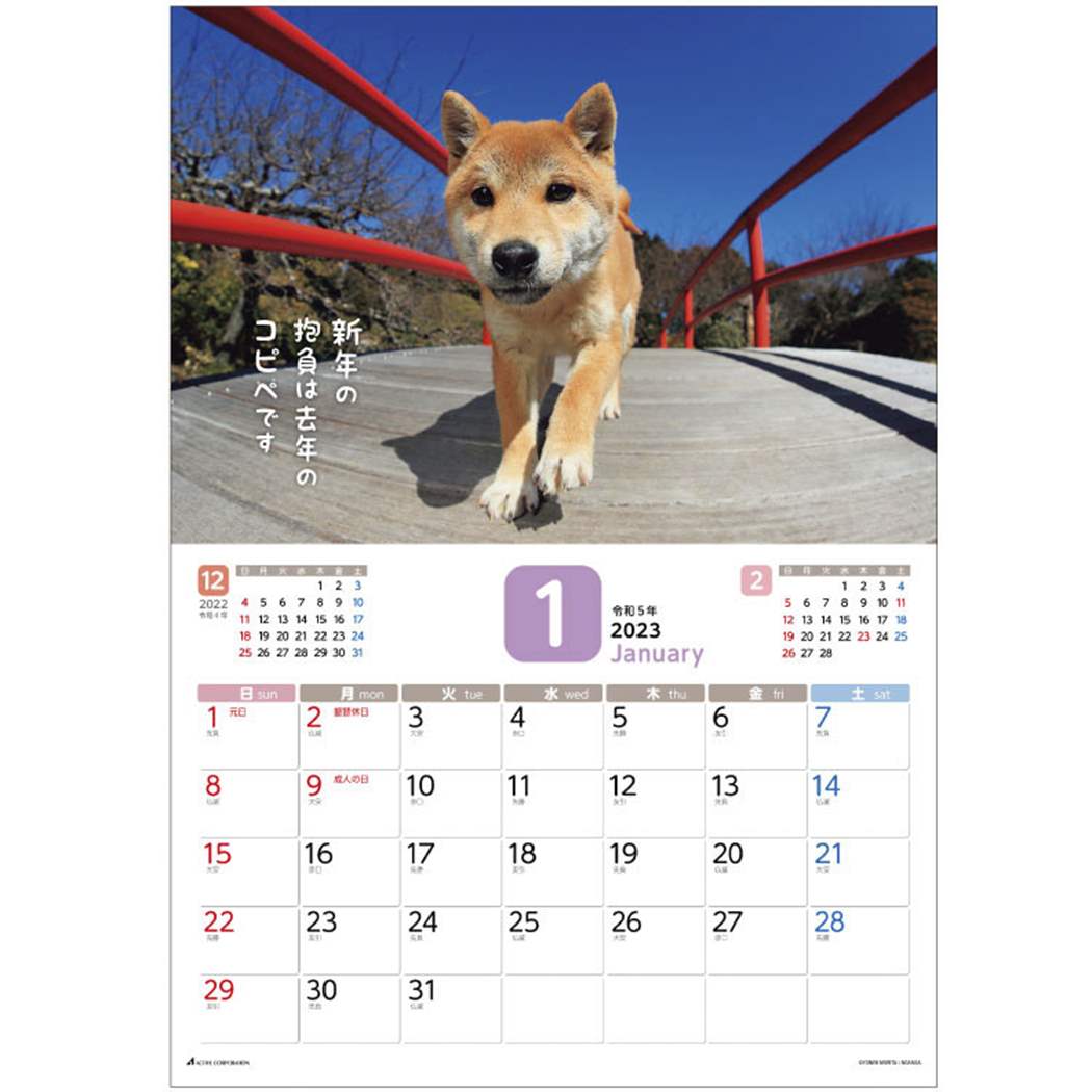 だってシバだもの　2023　Calendar　インテリア　柴犬　プレゼント　写真　令和5年暦　ギフト　壁掛けカレンダー2023年　女の子　アクティブコーポレーション　男の子　スケジュール　シネマコレクション　いぬ　予約