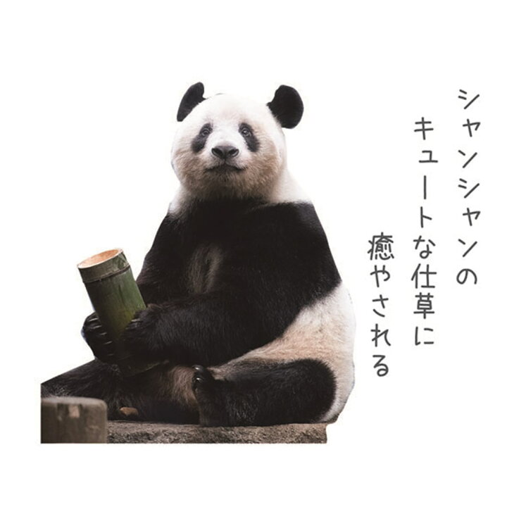 64 Off 23calendar 書き込み 猫川柳 スケジュール Apj ねこ 動物写真 卓上カレンダー23年 その他事務用品