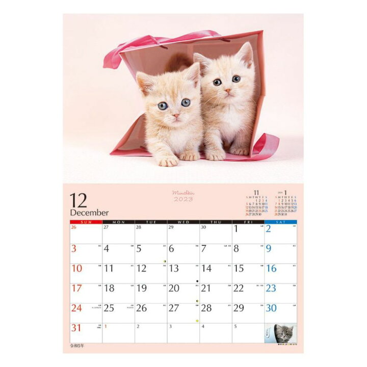 楽天市場 子猫のマンチカン 23 Calendar 壁掛けカレンダー23年 ねこ トライエックス 動物 写真 令和5年暦 予約 シネマコレクション キャラクターのシネマコレクション