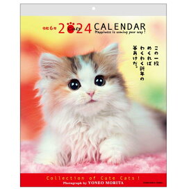森田米雄 メッセージカレンダーCAT 2024 Calendar 壁掛けカレンダー2024年 スケジュール ねこ アクティブコーポレーション 動物写真 書き込み インテリア 令和6年暦 シネマコレクション