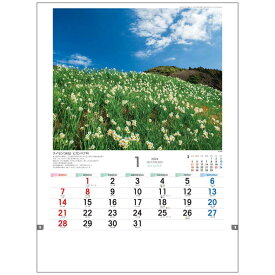 日本の山野草 2024 Calendar 壁掛けカレンダー2024年 フォト トーダン 写真 花 インテリア 令和6年暦 シネマコレクション