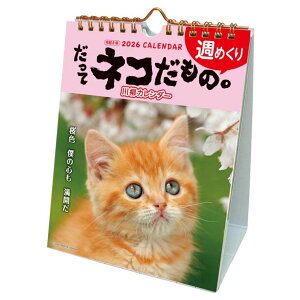 y|Cg10{IzălR 2026 Calendar J_[2026N T߂ XPW[ ˂ ANeBuR[|[V ʐ^  CeA ߘa8N [։ Vl}