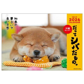 【ポイント10倍 & クーポン！】だってシバだもの 2026 Calendar 壁掛けカレンダー2026年 スケジュール いぬ アクティブコーポレーション 柴犬 写真 インテリア 令和8年暦 シネマコレクション