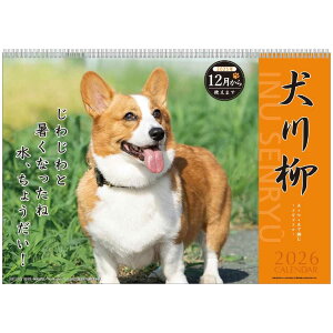 y|Cg10{ & N[|IzR[M[ 2026Calendar Ǌ|J_[2026N XPW[  APJ ʐ^  CeA ߘa8N Vl}RNV