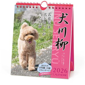 y12͖|Cg10{Izv[h 2026Calendar Ǌ|J_[2026N T߂ XPW[  APJ ʐ^  CeA ߘa8N [։ Vl}RNV