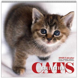 【ポイント10倍 & クーポン！】【50％OFF】壁掛けカレンダー2026年 2026Calendar 辰巳出版 Cats Collection 山下寅彦 スケジュール ねこ APJ 動物写真 書き込み インテリア 令和8年暦