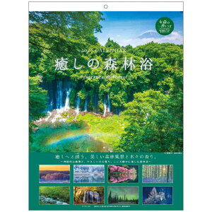 癒しの森林浴 2026Calendar 壁掛けカレンダー2026年 森の香り付 スケジュール APJ 風景写真 書き込み インテリア 令和8年暦 シネマコレクション