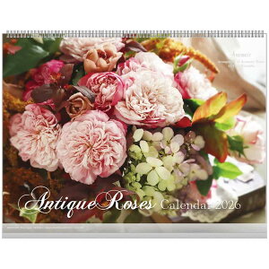 AeB[N[Y 2026Calendar Ǌ|J_[2026N XPW[ t[ APJ Ԏʐ^  CeA ߘa8N Vl}RNV