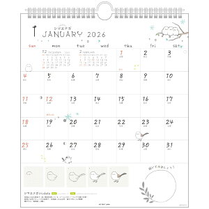 y12͖|Cg10{Iz킢Ƃ̕` BIRDSTORY 2026Calendar Ǌ|J_[2026N 30p XPW[ APJ CXg  CeA ߘa8N Vl}RNV