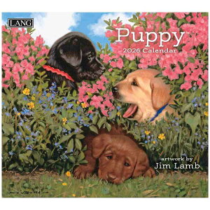 LANG O 2026 Calendar Ǌ|J_[2026N Puppy Jim Lamb Jg[  CeA ߘa8N Vl}RNV