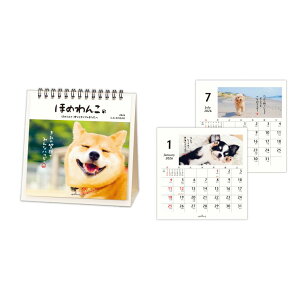 ق߂ 2026 Calendar J_[ 2026N  {z[}[N XPW[   ʐ^ ߘa8N [։ Vl}RNV