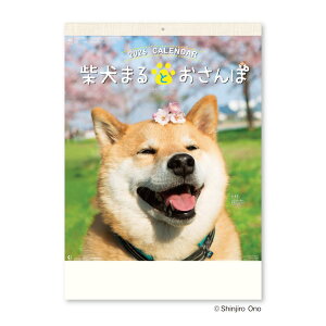 y|Cg10{ & N[|IzČ܂ 2026Calendar Ǌ|J_[2026N Č܂Ƃ Ǌ|  V{J_[ ʐ^  CeA ߘa8N Vl}RNV