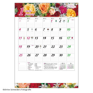 t[ V[ 2026 Calendar Ǌ|J_[2026N tHg g[_ ʐ^  p  ߘa8N Vl}RNV