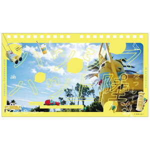 �y�|�C���g10�{ & �N�[�|���I�z��� �ӂȂ����[ 2026 Calendar ���J�����_�[2026�N �g���C�G�b�N�X �L�����N�^�[ �ߘa8�N�� ���[���։� �V�l�}�R���N�V����