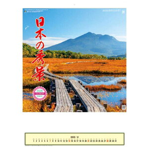 {̏Gi 2026 Calendar Ǌ|J_[2026N gCGbNX i ʐ^ ߘa8N Vl}RNV