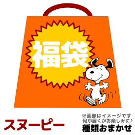 楽天市場 スヌーピー 福袋の通販