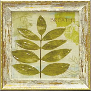 �y�|�C���g10�{ & �N�[�|���I�z���i �� �}���� �u���X �~�j�Q���A�[�g�t���[�� �v�`�v���C���e���AART�ʔ�